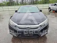 2017 Honda CIVIC фото