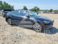 2017 Honda CIVIC фото