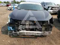 2017 Honda CIVIC photo