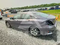 2017 Honda CIVIC фото