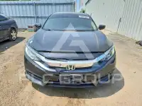 2017 Honda CIVIC фото