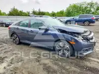 2017 Honda CIVIC фото