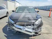 2017 Honda CIVIC фото