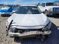 2017 Honda CIVIC photo
