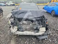 2017 Honda CIVIC photo