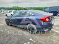 2017 Honda CIVIC photo