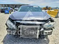 2017 Honda CIVIC фото