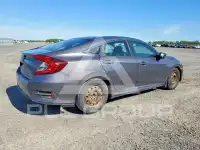 2017 Honda CIVIC фото