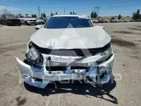 2017 Honda CIVIC photo