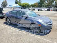 2017 Honda CIVIC фото