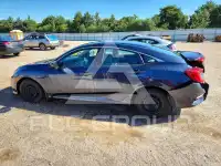 2017 Honda CIVIC фото