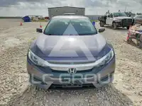 2017 Honda CIVIC фото