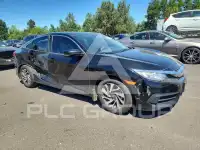 2017 Honda CIVIC фото