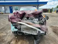2017 Honda CR-V photo