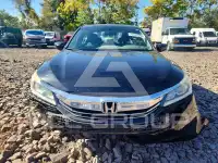 2017 Honda Accord photo