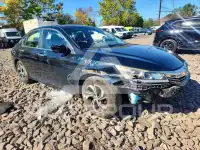 2017 Honda Accord photo