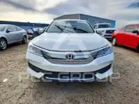 2017 Honda Accord photo
