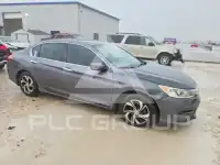 2017 Honda Accord photo