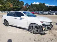 2017 Honda Accord photo