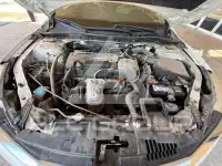 2017 Honda Accord photo