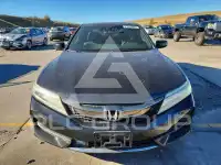 2017 Honda Accord photo