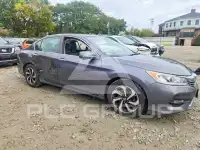 2017 Honda Accord photo