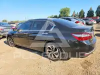 2017 Honda Accord photo