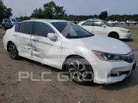 2017 Honda Accord photo