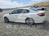 2017 Honda Accord photo
