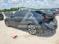 2017 Honda Accord photo