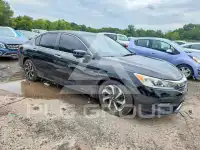 2017 Honda Accord фото