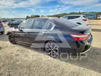 2017 Honda Accord photo