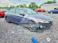 2017 Honda Accord photo