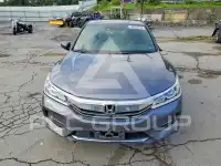 2017 Honda Accord photo