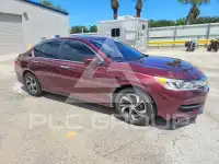 2017 Honda Accord photo