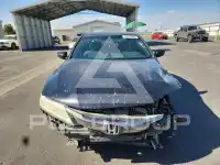 2017 Honda Accord photo