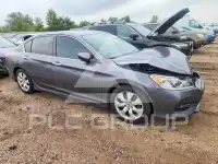 2017 Honda Accord фото