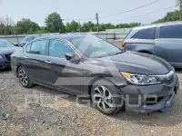 2017 Honda Accord photo
