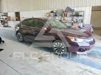 2017 Honda Accord фото