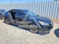 2017 Honda Accord photo