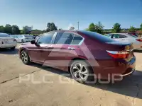 2017 Honda Accord фото