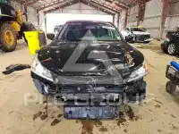 2017 Honda Accord photo