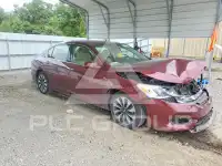 2017 Honda Accord photo