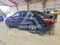 2017 Honda Accord photo