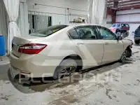 2017 Honda Accord photo