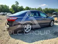 2017 Honda Accord photo