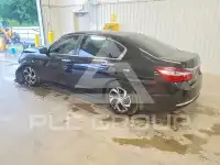 2017 Honda Accord photo