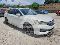 2017 Honda Accord photo