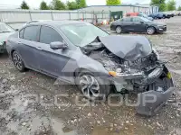 2017 Honda Accord фото