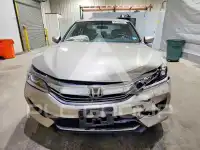 2017 Honda Accord photo